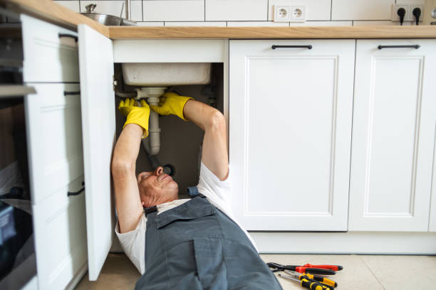 Best Same-Day Plumbing Service  in Howard Lake, MN