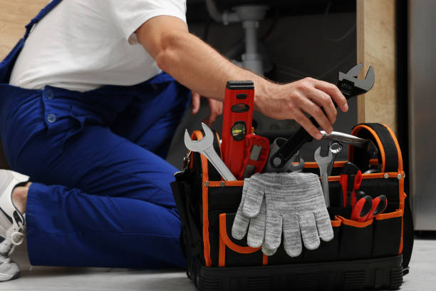 Best Plumbing Inspection Services  in Howard Lake, MN
